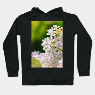 White Lilac Flowers Hoodie